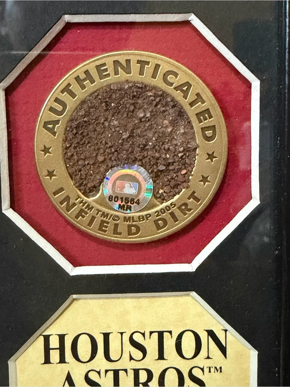2005 Champions Framed Photo Plaque - Black/Red Houston Astros